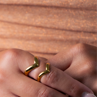 Anello V